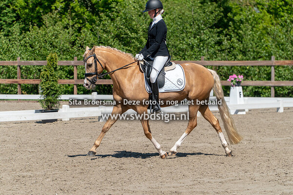 Selectie klasse B ponys