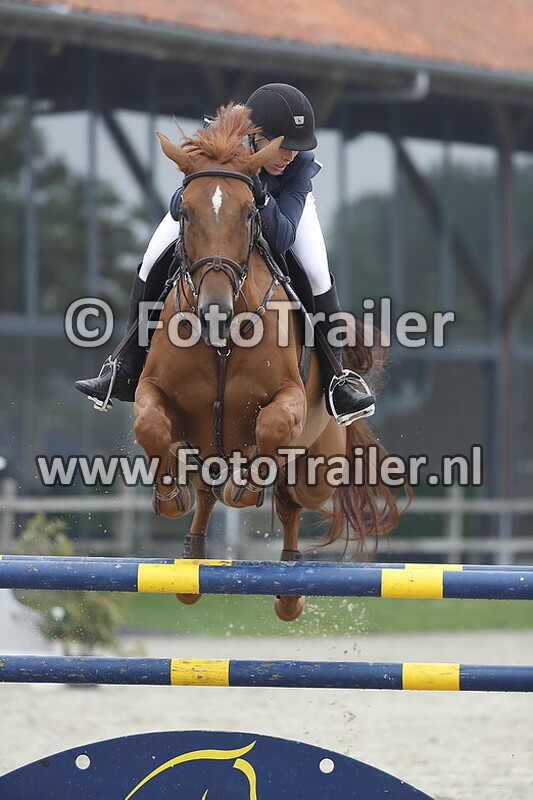 andrea van scheltinga