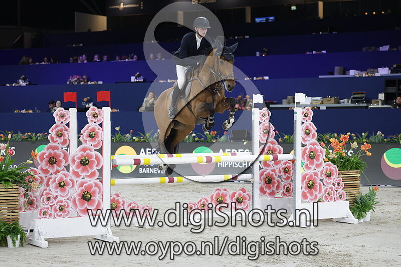 Pandoer Van De Hagenhorst