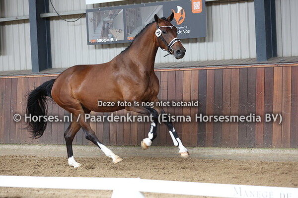 29 Sangria (Florida TN x Gracia v. Spielberg)