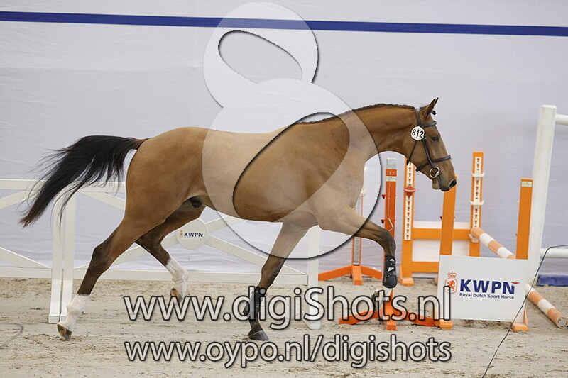 Sweet Child o Mine CFH v. Chatinue