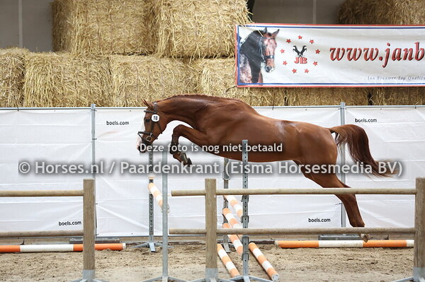 18 So Much Pleasure (New Pleasure x Duchesse v. Lord Z)