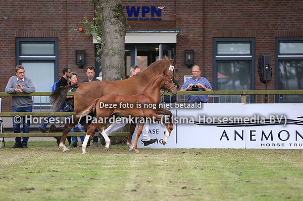 19 Olaf Rona v Vitens