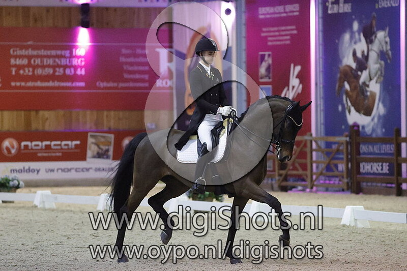 Treffinger's Sir Wellington