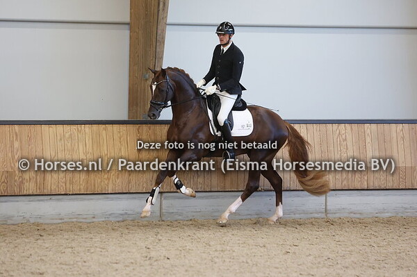 41 So Unique STH (Vivino x Boston STH)