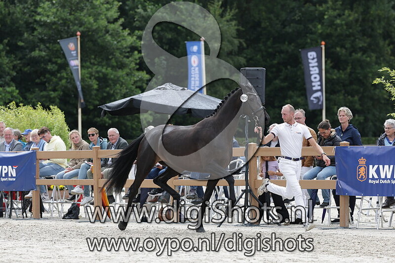 Silhouette v. Livius