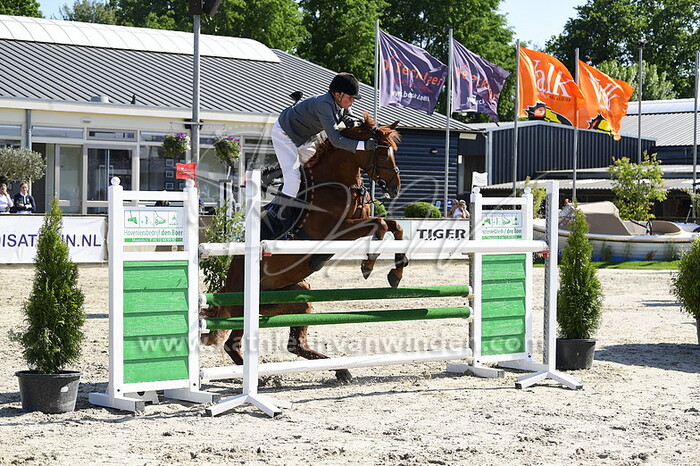 Wendy Willemse - Jolly Joy