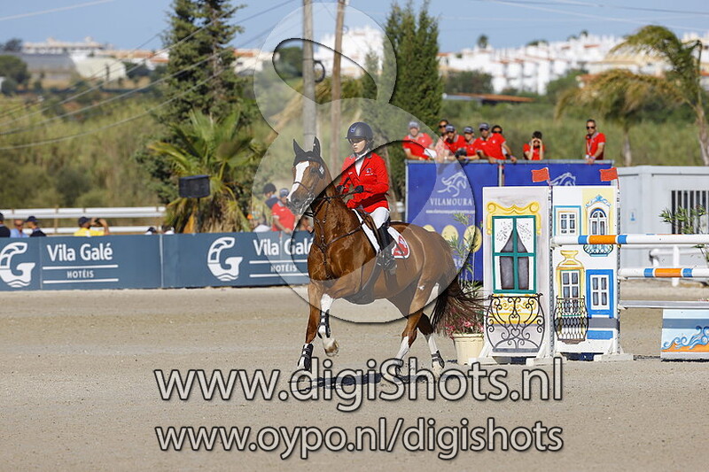 Happy Day de Guldenboom