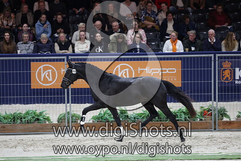 Le Formidable Amour JKH Z