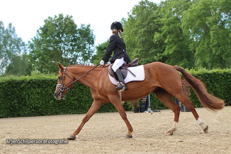 CH Wanneperveen 26-05-2022 Pony's 30-40cm