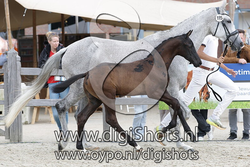 Villion v. One Million