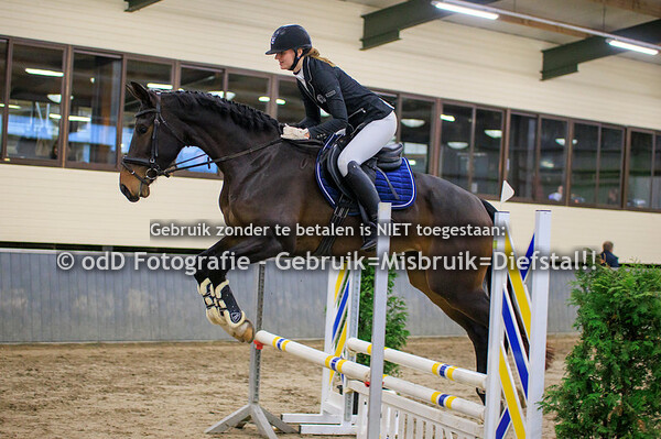 CH LRV Heibloem Bij De Vosberg 80cm 09-12-23