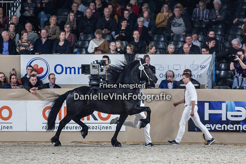 Hengstenkeuring 2020 Arent 515