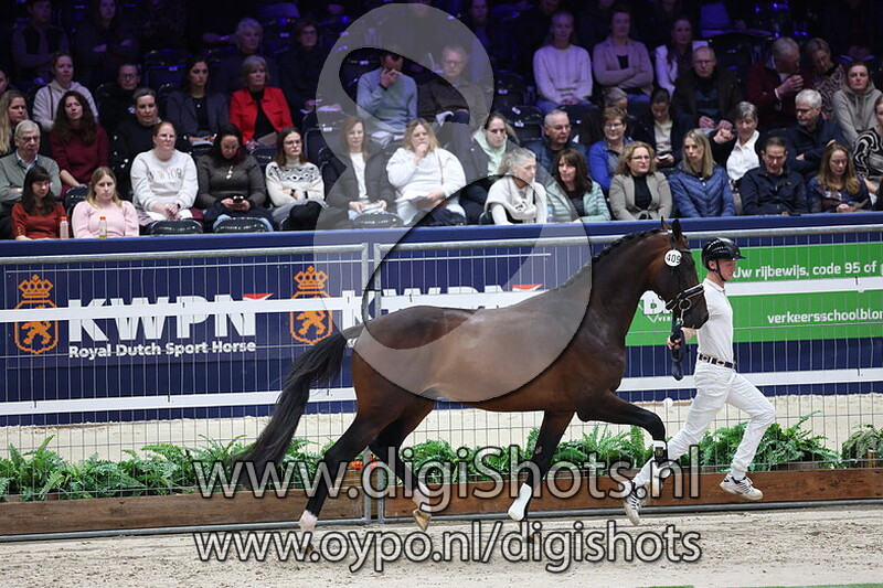 Special Surprise v. Las Vegas