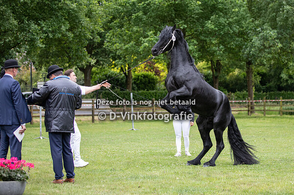24. Toulouse fan Laurena