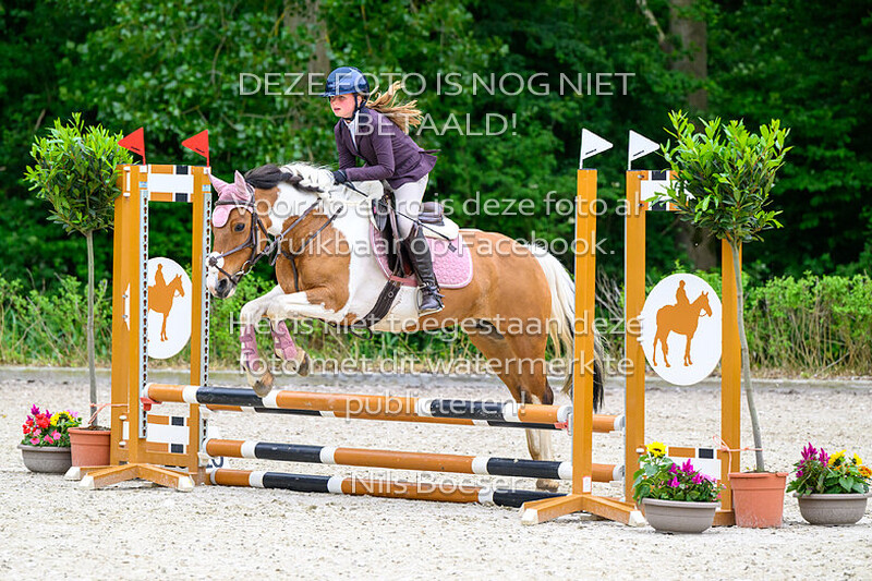 3 Rijstijl pony's 0.60 cm cat. ABCDE MB-ZB