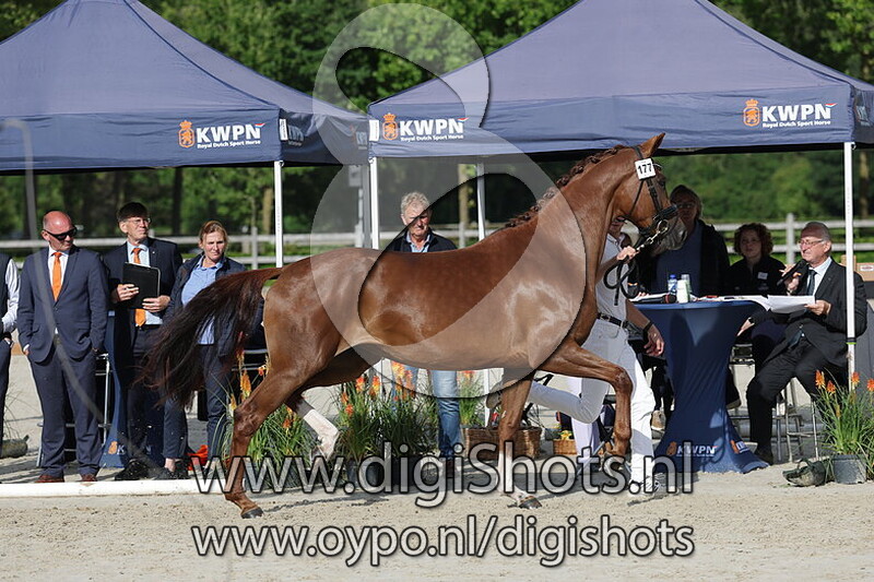 Soof Osterbos v. Kjento