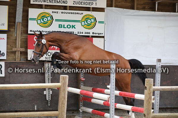 12 Massage C v Hermantico