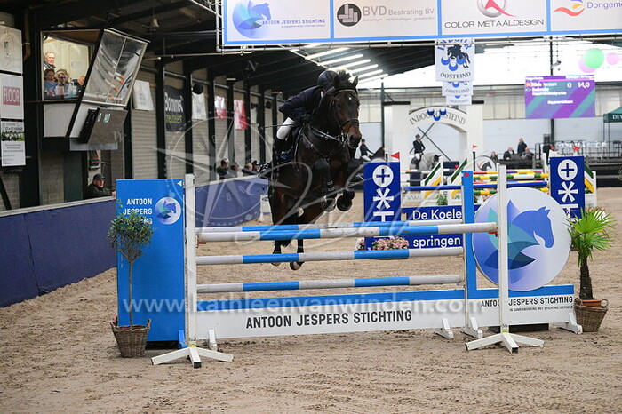 Niels Brussen - Ibolensky