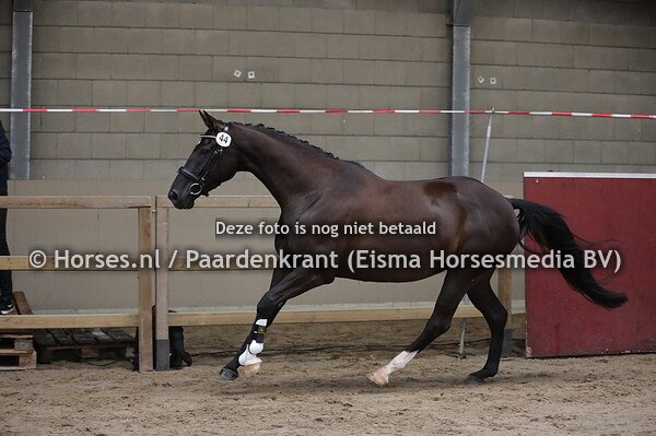 44 Linda (Hennessy x Finistere v. Gribaldi)
