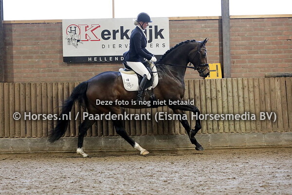 18 Kato (Ferdinand x Batja v. Houston) Anita van Eck