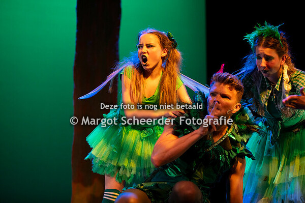 10. Ontmoeting Peter Pan 2