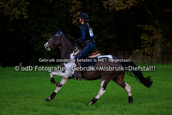 SGW Bathmen paard L pony M 02-11-25