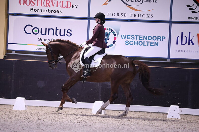 HELLENDOORN_B_vanaf12.00_17nov2024