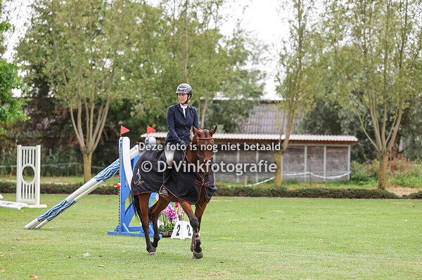 Rubriek 2: 4 jarige springpaarden Bart Gommeren Sporthorses Prijs