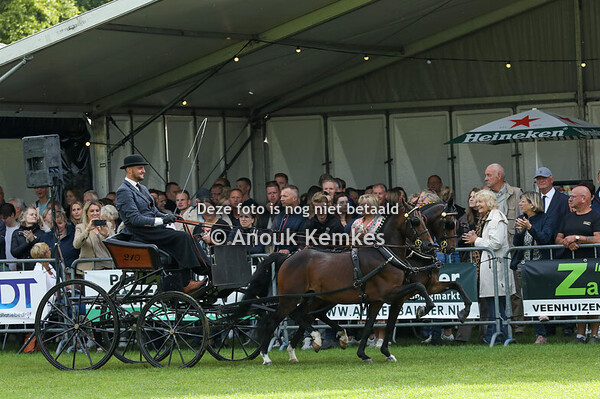 Hackney tweespan Kampioenschap