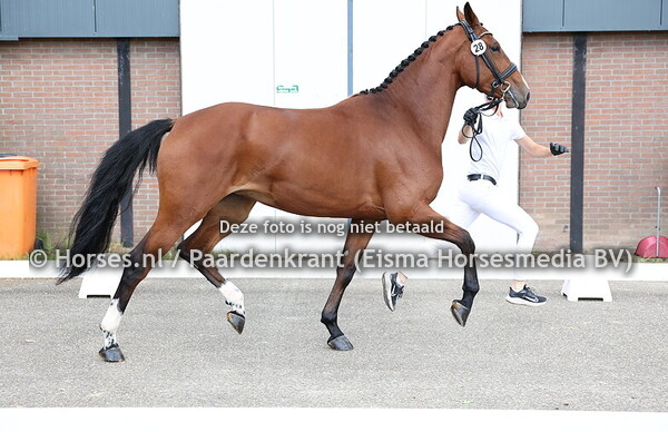 28 Ravelle TC (Ravel z Ziezo v.Krack)