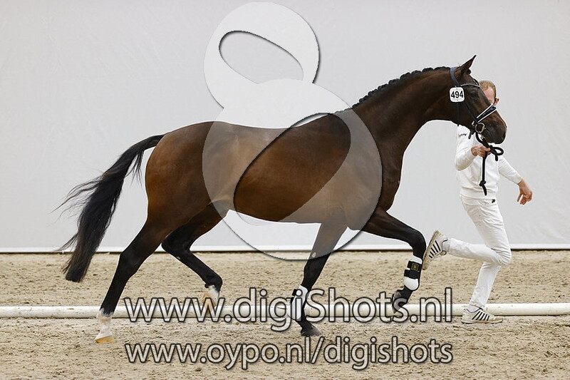 Nobel Prins v. Indian Rock