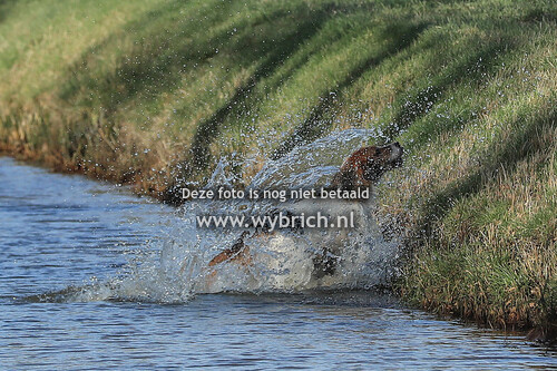 34 Dwingeloo 19-2-2025