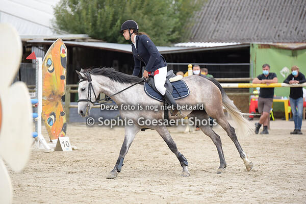 Ponies Hoogte 90 - Prijsuitreiking