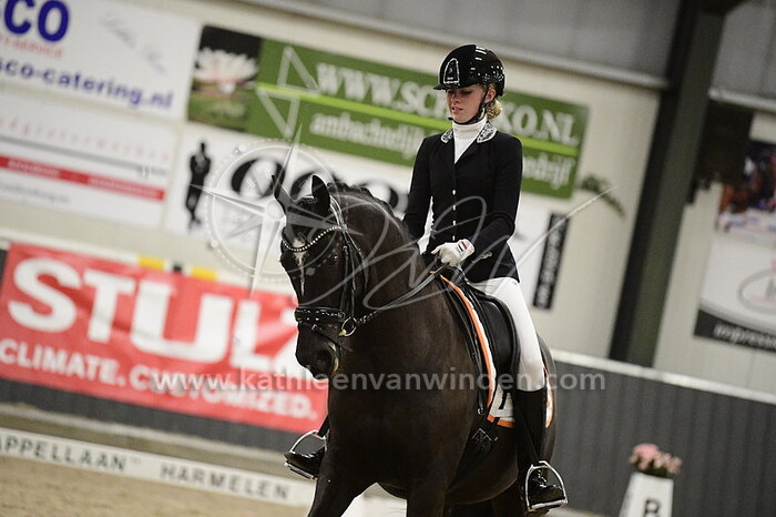 Dominique van Dalsen - Zky