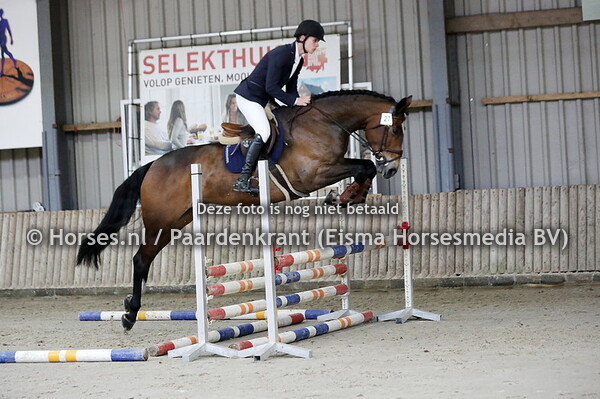 27 Kilbeggan (Golden Dream x Zivona v. Elmshorn) Niels Jonkers