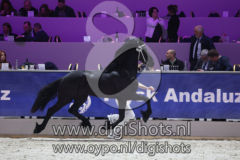 Twardy fan Kippenburg v. Wardy 509