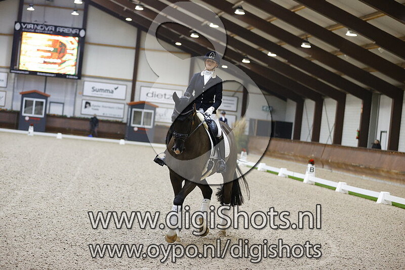 Mid Knight Texel