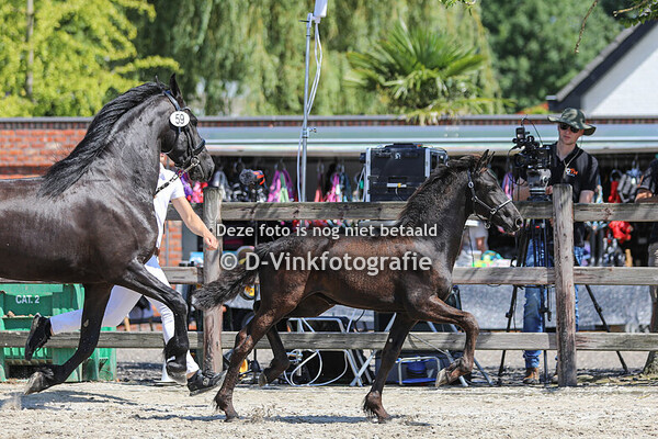 59. Afke van Raepshille