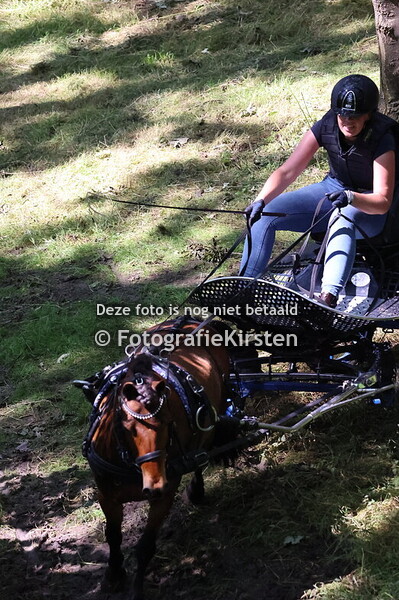 Paardenmarathon Franeker 14-06-2025