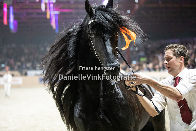 Hengstenkeuring 2023 Boet 516