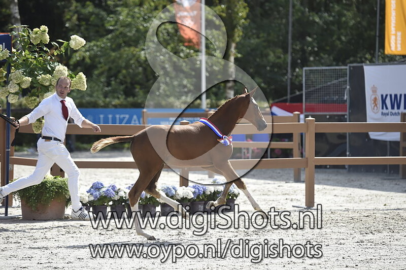 Nersinaa v. Jenssen VDL