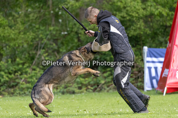 Lotnr 6 Djolien Knoop