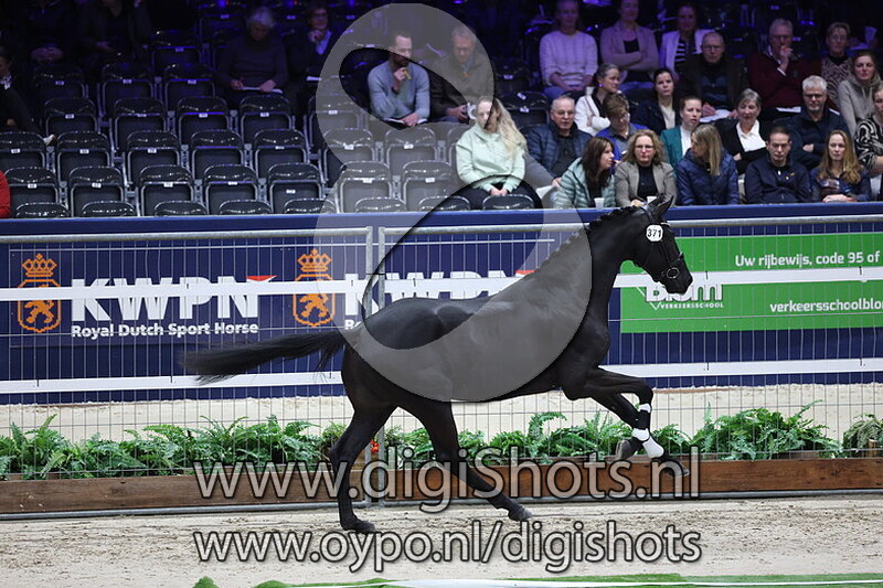 Scaramouche v. Glock's Toto Jr