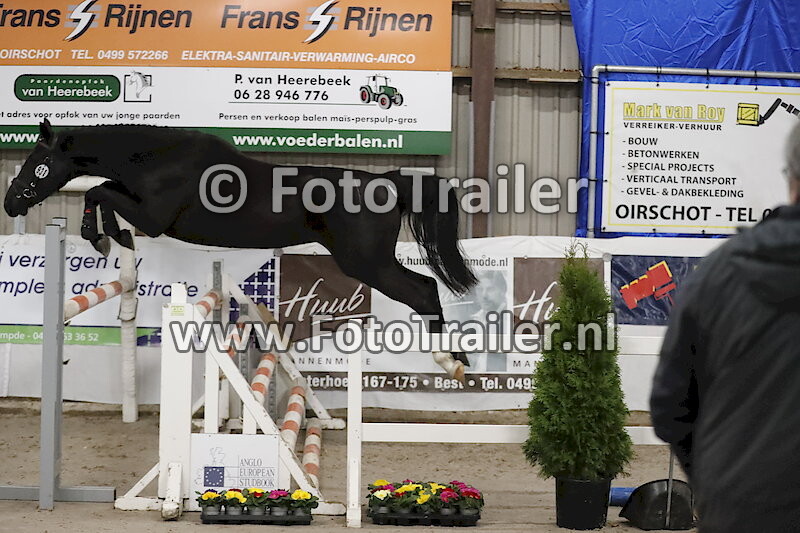 931 - Pipa van de Werf