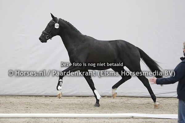 526 Ono (Painted Black x Fivanny v. Negro)