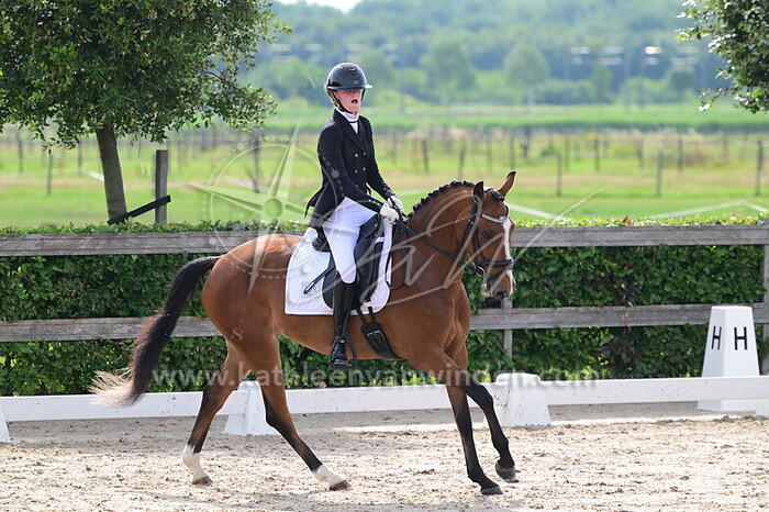 Sara de Graaf - Uildriks Golden el Corazon