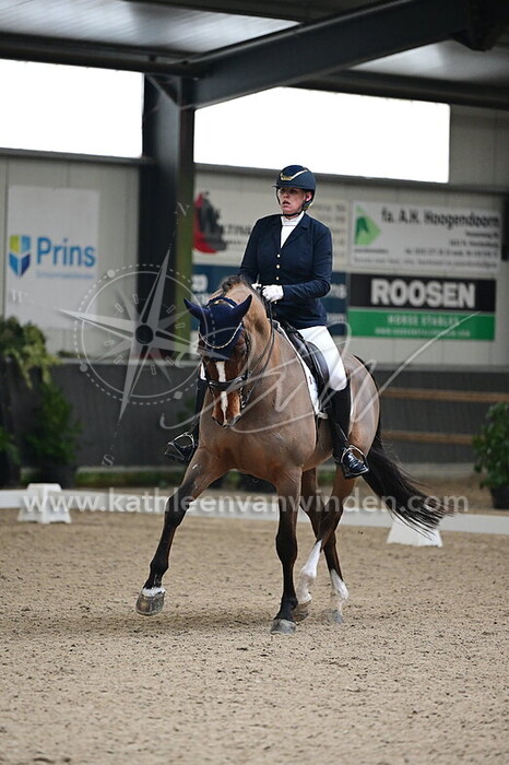 Ilse van Soest - Elvis!