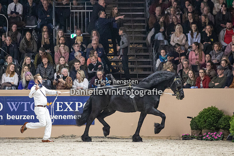 Hengstenkeuring 2023 Maeije 440