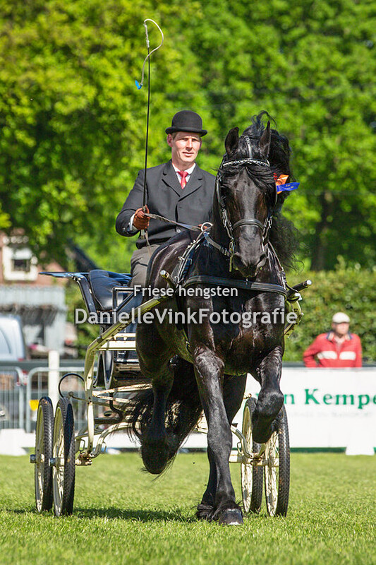 CH Lunteren tuigpaarden 05-05-2018 - Fonger 478